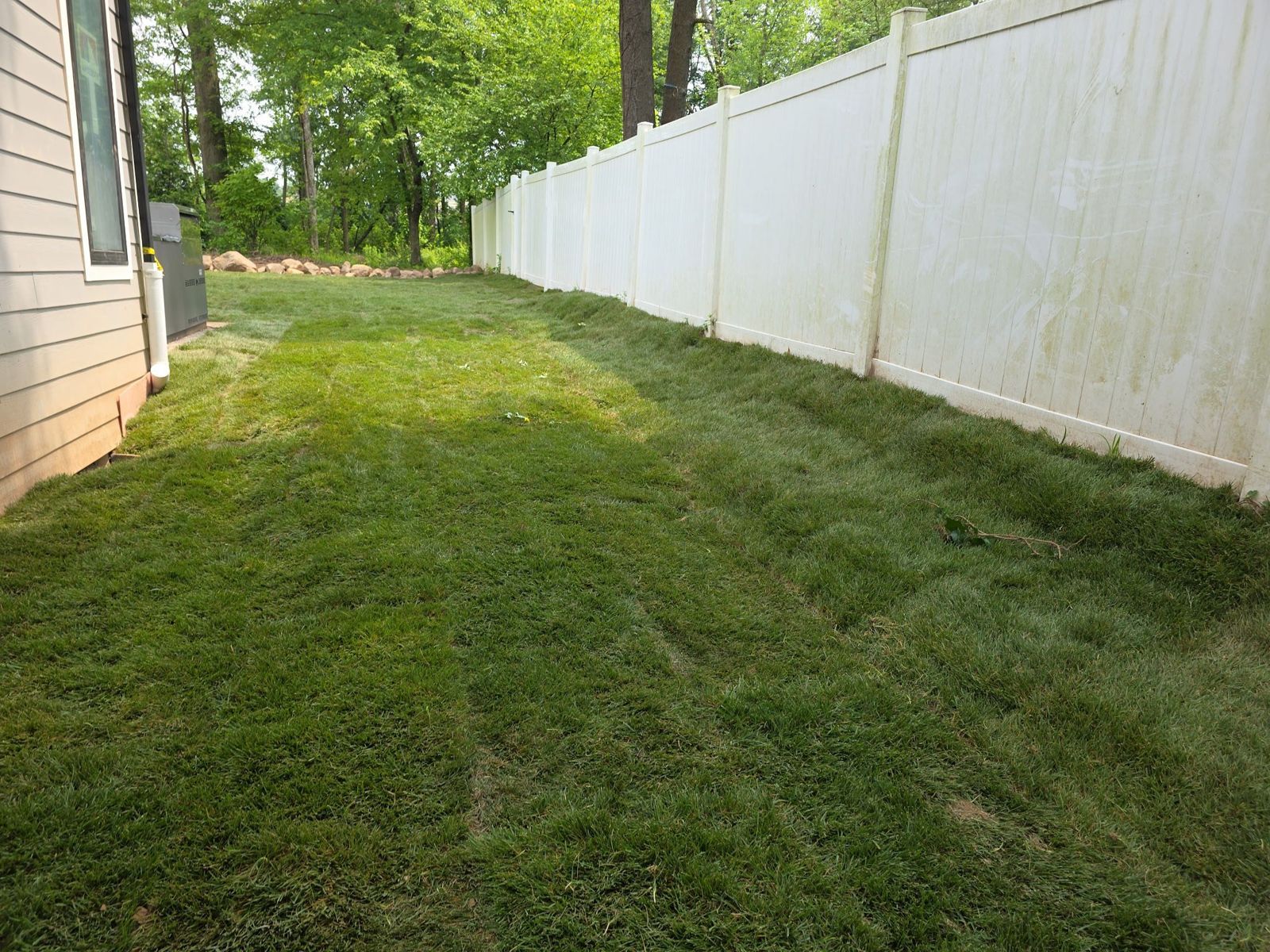 Narrow Backyard Makeover in Jersey City: finished lawn (2 of 11)