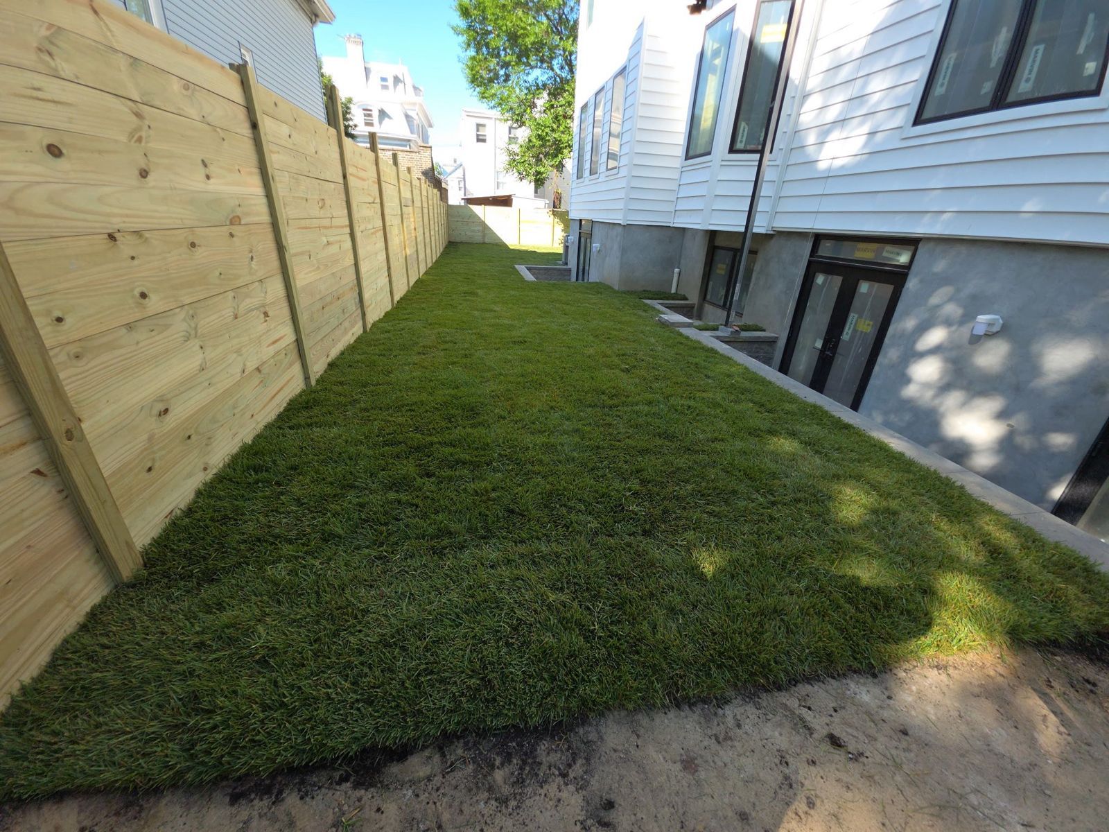 Sun and Shade Lawn in Paterson: finished lawn (2 of 7)