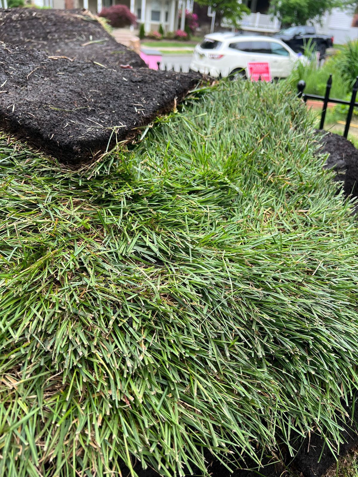 Fresh Sod Delivery in Newark: on the job (3 of 3)