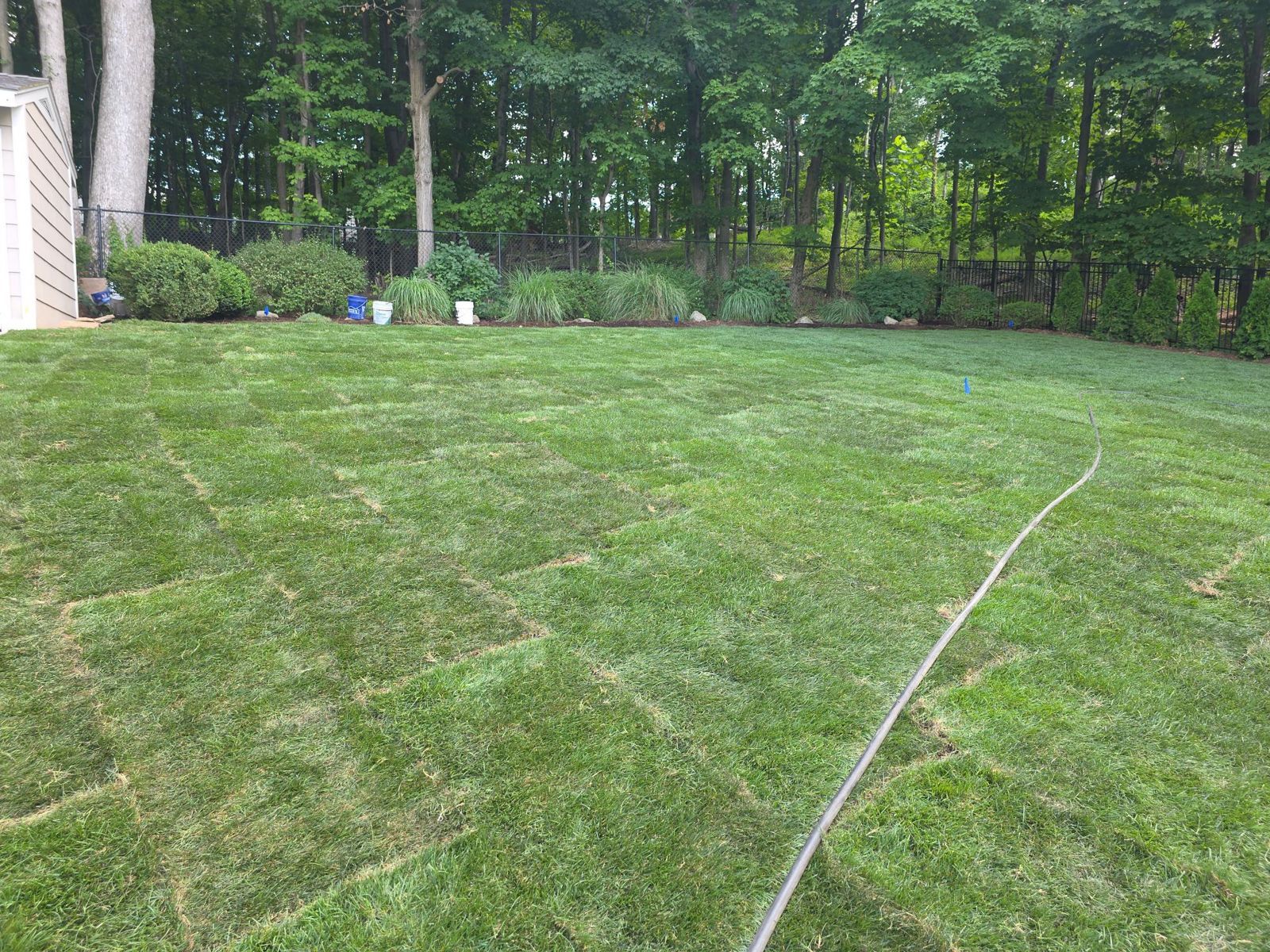 A finished sod lawn on a new construction home in Lakewood, NJ