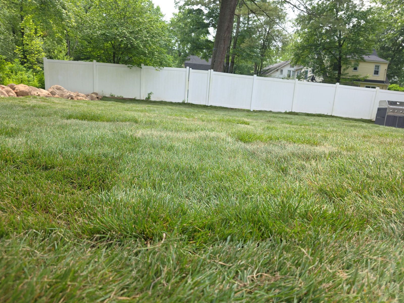 Narrow Backyard Makeover in Jersey City: finished lawn (4 of 11)
