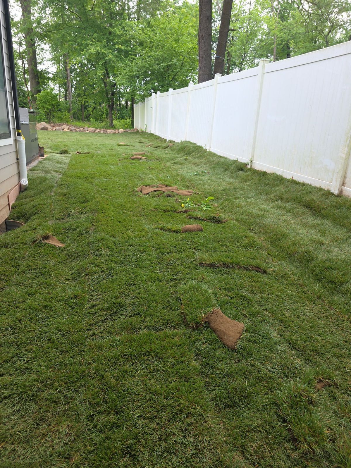 Narrow Backyard Makeover in Jersey City: finished lawn (5 of 11)