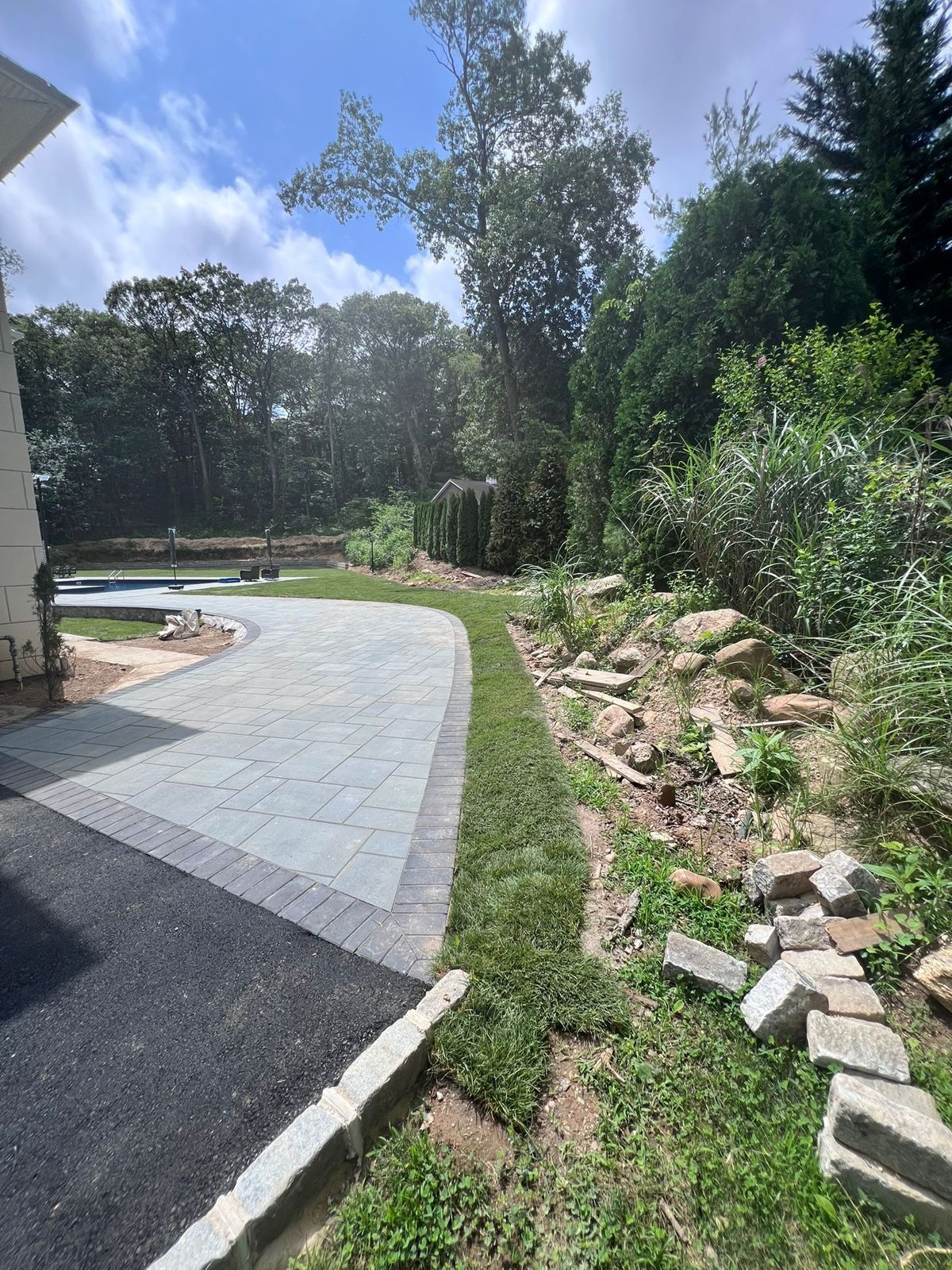 Backyard and Poolside Lawn in Elizabeth: finished lawn (6 of 9)