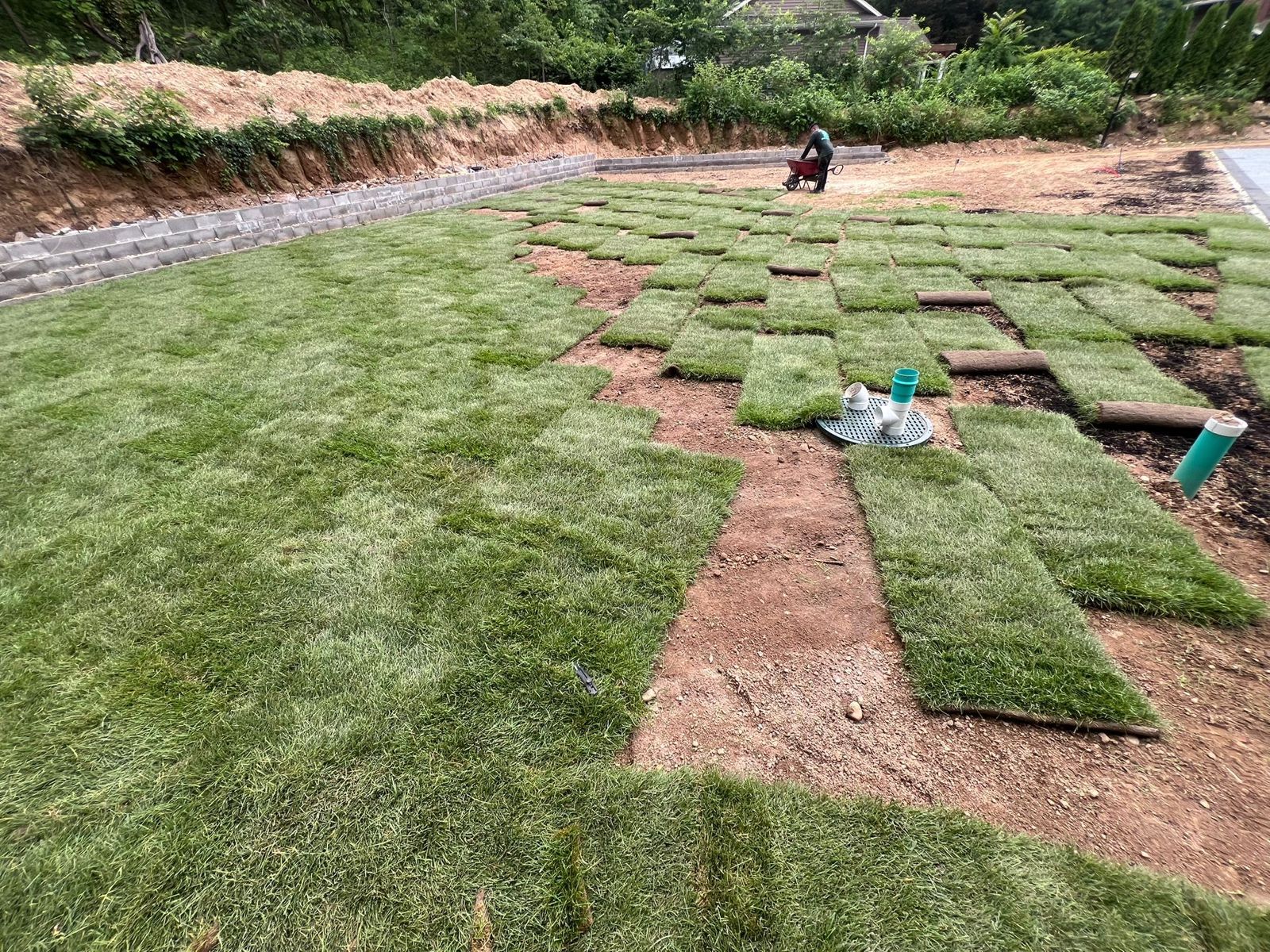 Backyard and Poolside Lawn in Elizabeth: on the job (7 of 9)