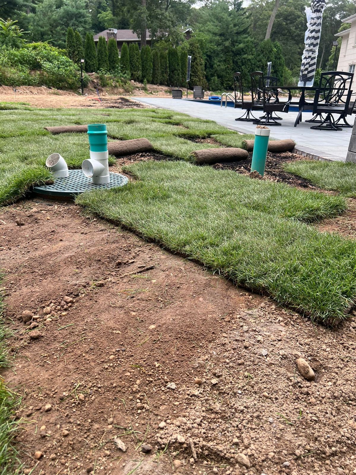 Backyard and Poolside Lawn in Elizabeth: on the job (8 of 9)