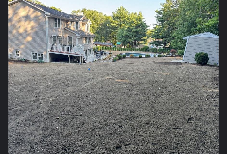 New Construction Lawn in Lakewood: on the job (15 of 15)