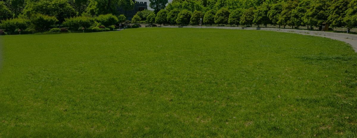 Commercial Sod