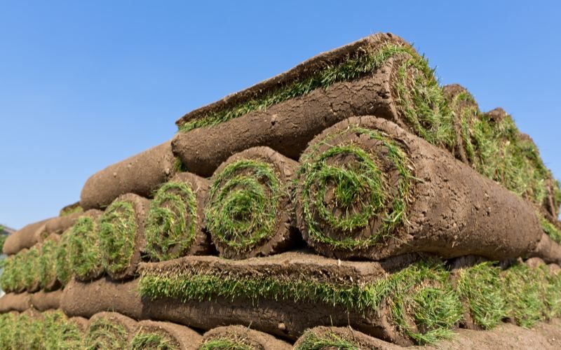 Pallets of fresh sod staged for Jersey Shore sod delivery and New Jersey lawn installation planning