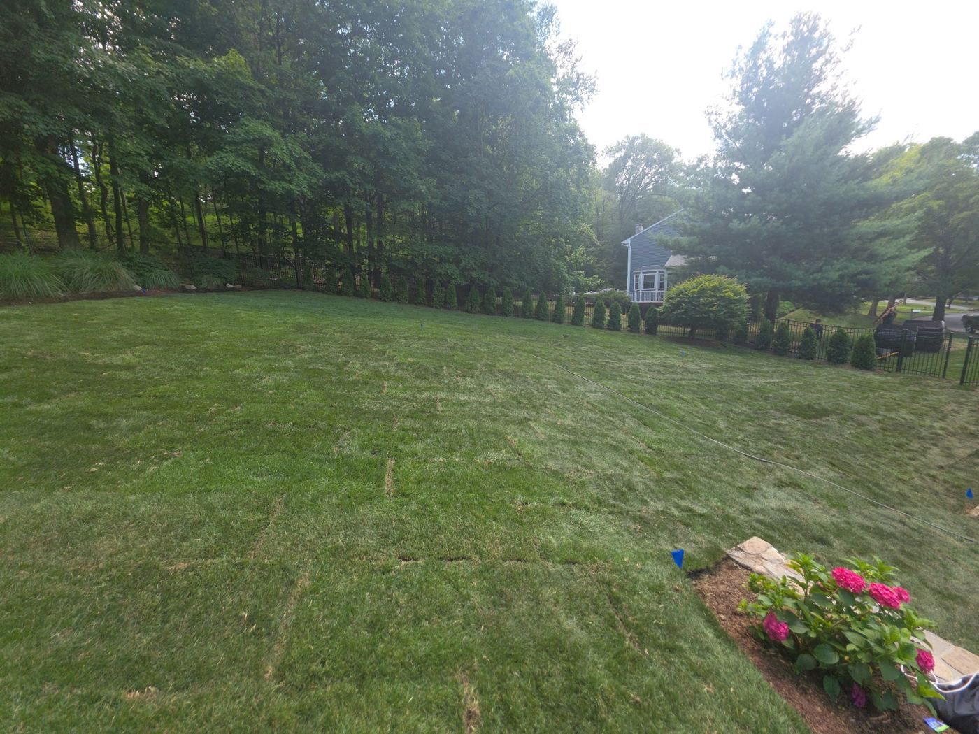 How to Choose the Right Grass for Your New Jersey Lawn: Soil, Shade & Durability Tips
