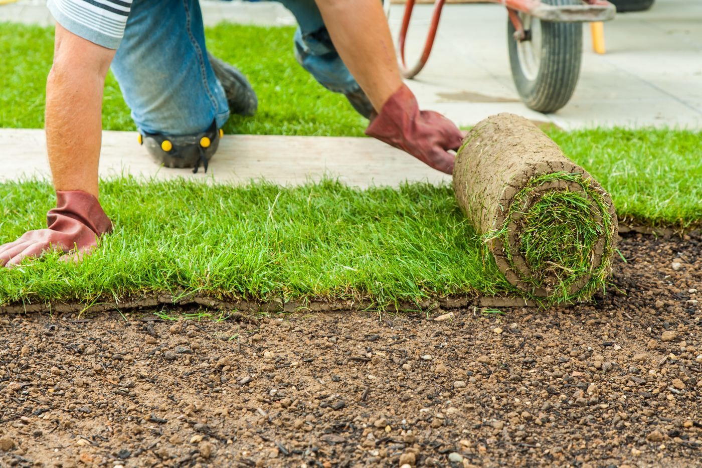 laying down sod in New Jersey yard