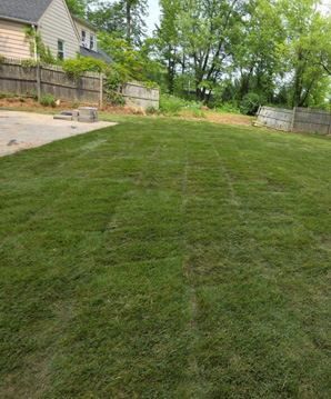 Residential sod installation for a Morris County New Jersey lawn, showing fresh turf suited to local timing, prep, and watering guidance