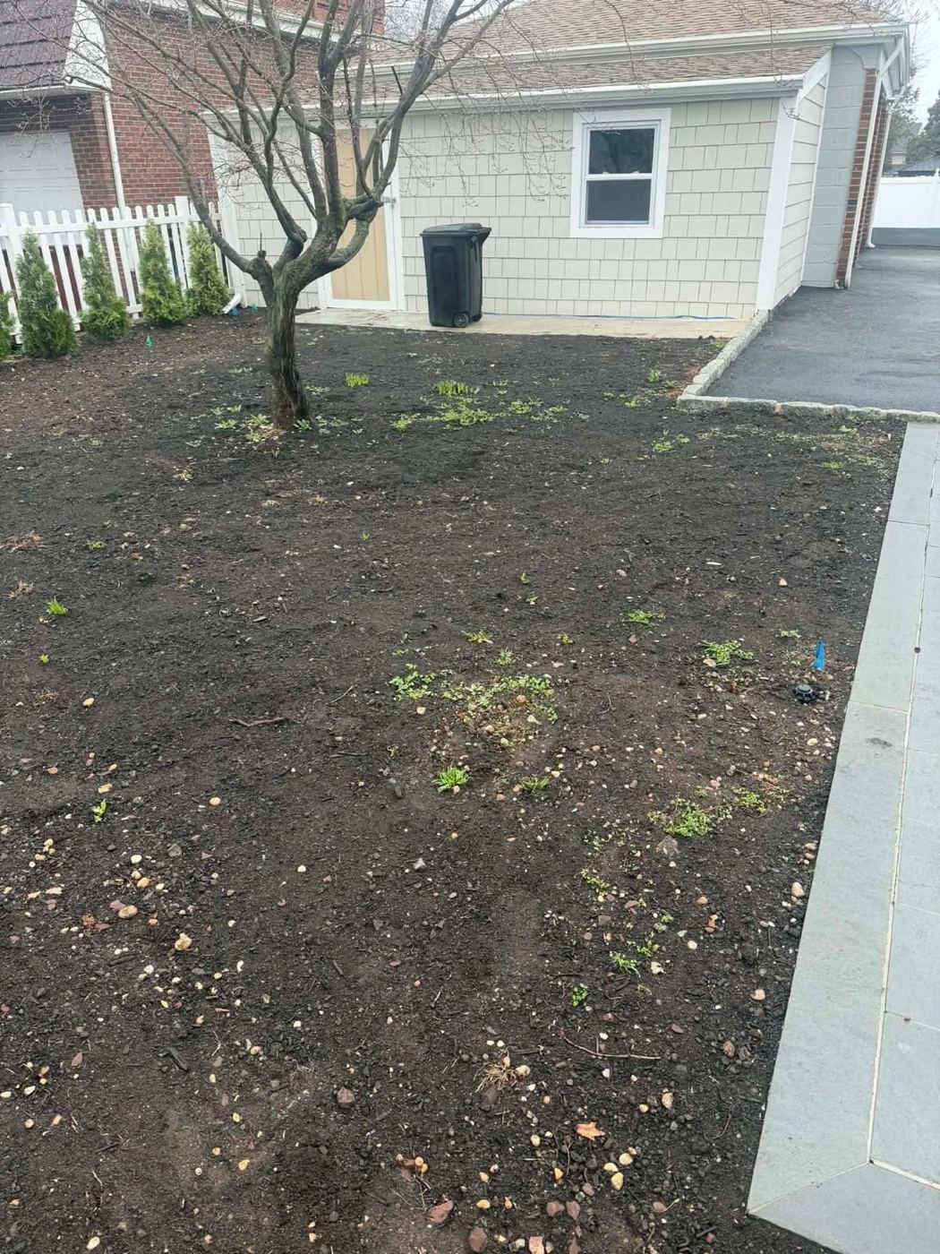 Fresh New Jersey sod lawn after installation, relevant to Ocean County timing, delivery access, and coastal watering guidance