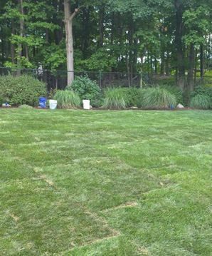 Fresh sod installation for a New Jersey property, relevant to Union County residential, HOA, and commercial lawn projects