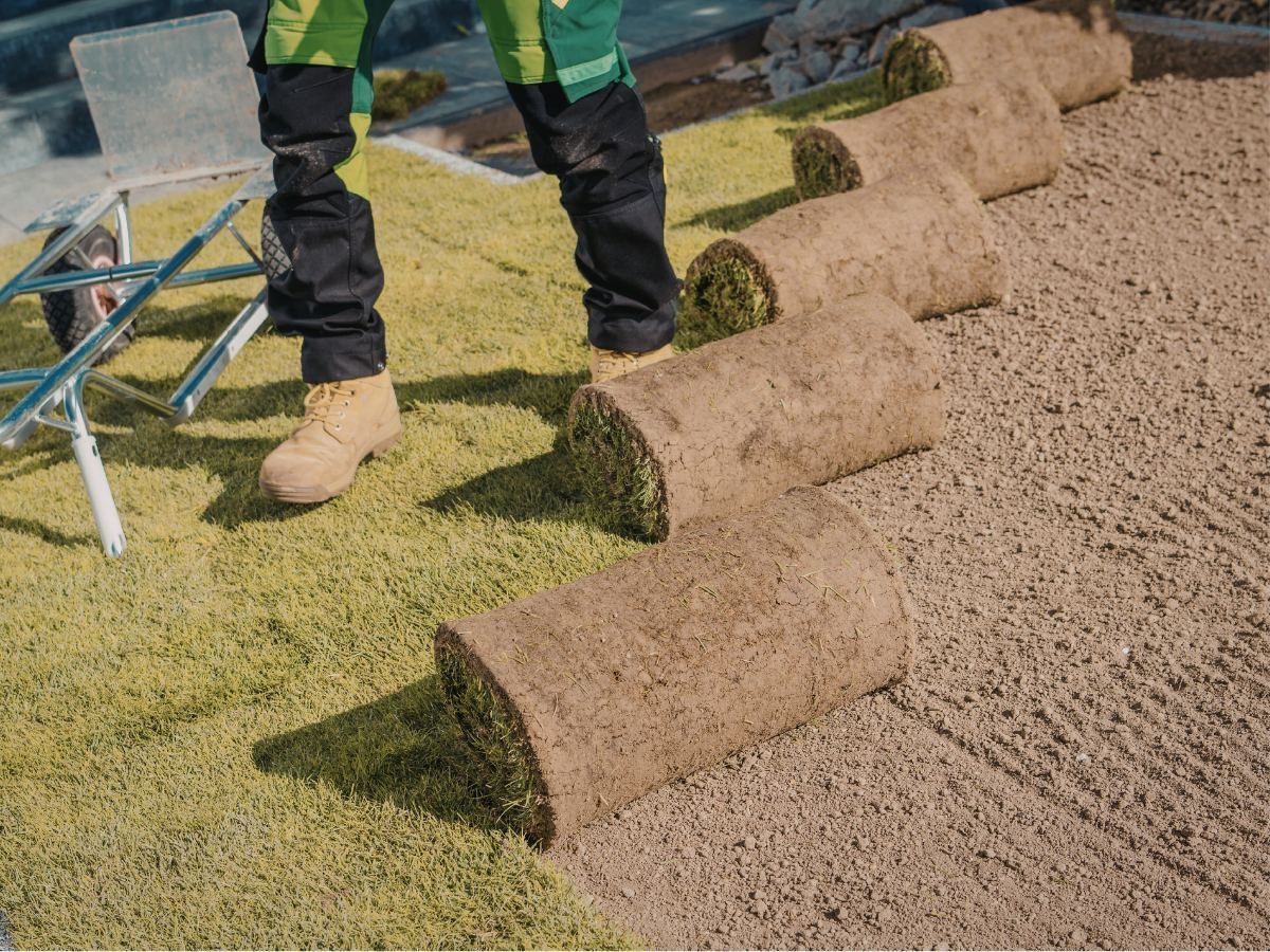 Fresh sod replacement project for a worn-out New Jersey lawn