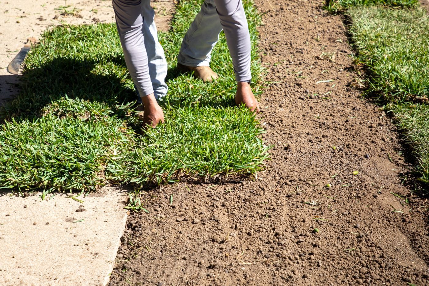 laying down new sod for home in New Jersey