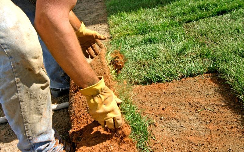 New Jersey sod company installing fresh sod for a local residential lawn